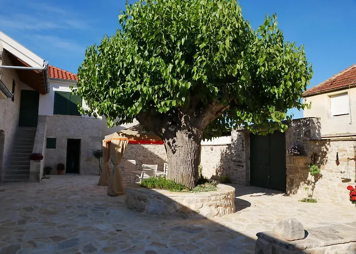 Didova Kuca Zadarvillas Βίλα *