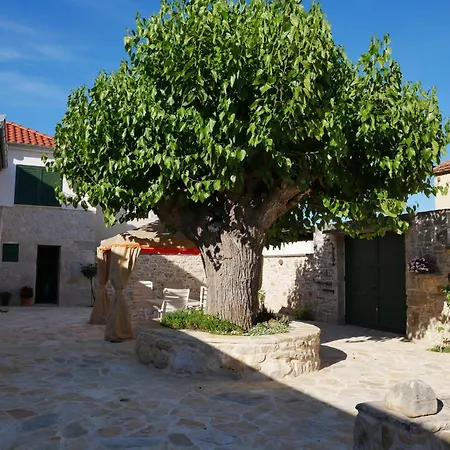 Didova Kuca Zadarvillas 别墅 *